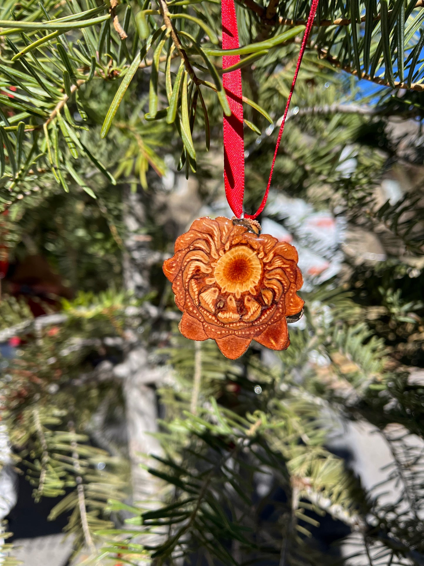 Knobcone pinecone ornament