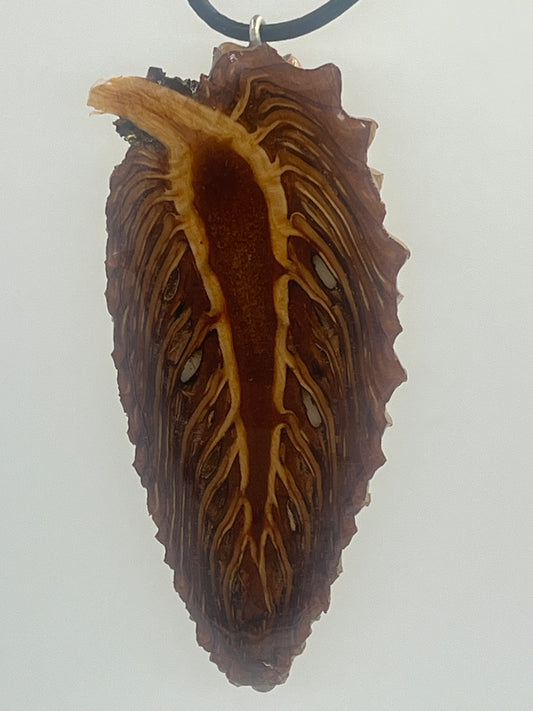 Knobcone pinecone feather pendant