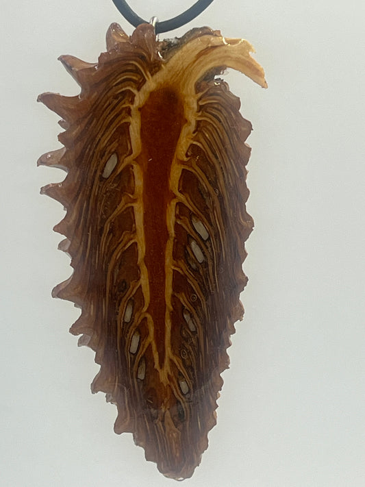 Knobcone pinecone feather pendant